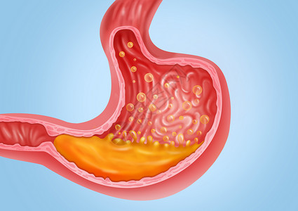 人体八大系统图手绘胃胀医疗健康插图插画