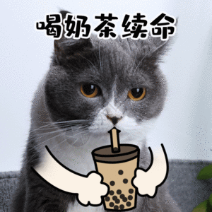 喝奶茶开心饮料下午茶猫咪宠物GIF图片