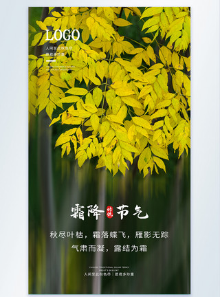 树叶黄了霜降节气摄影图海报模板