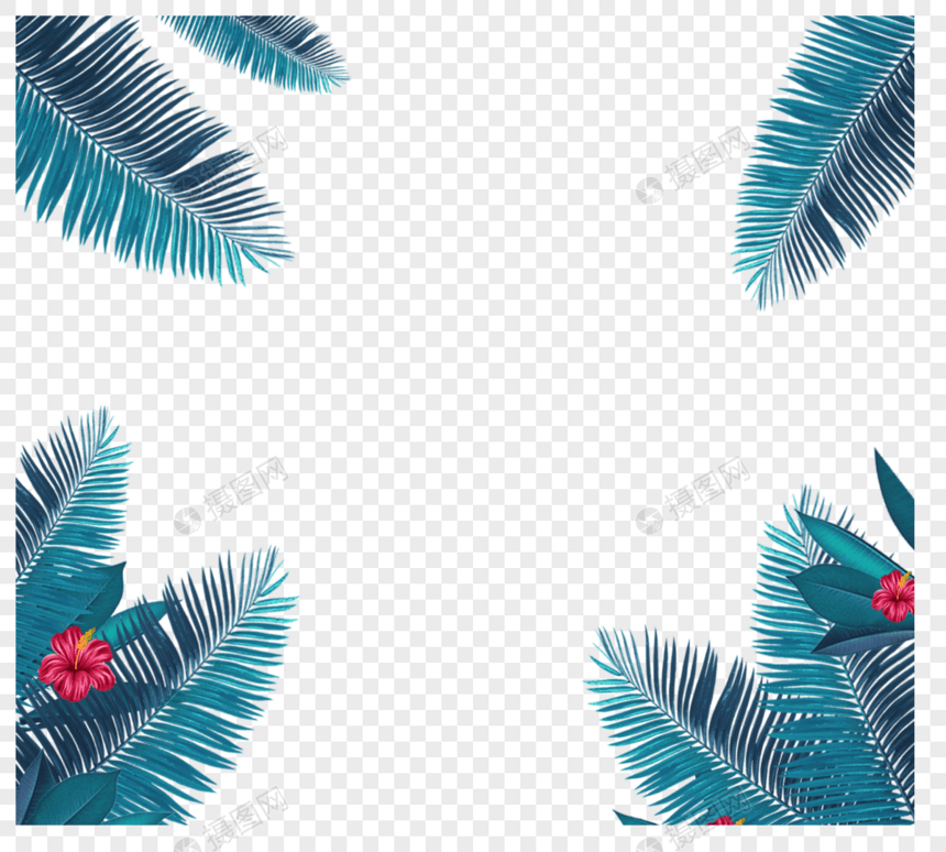夏季热带植物花境图片