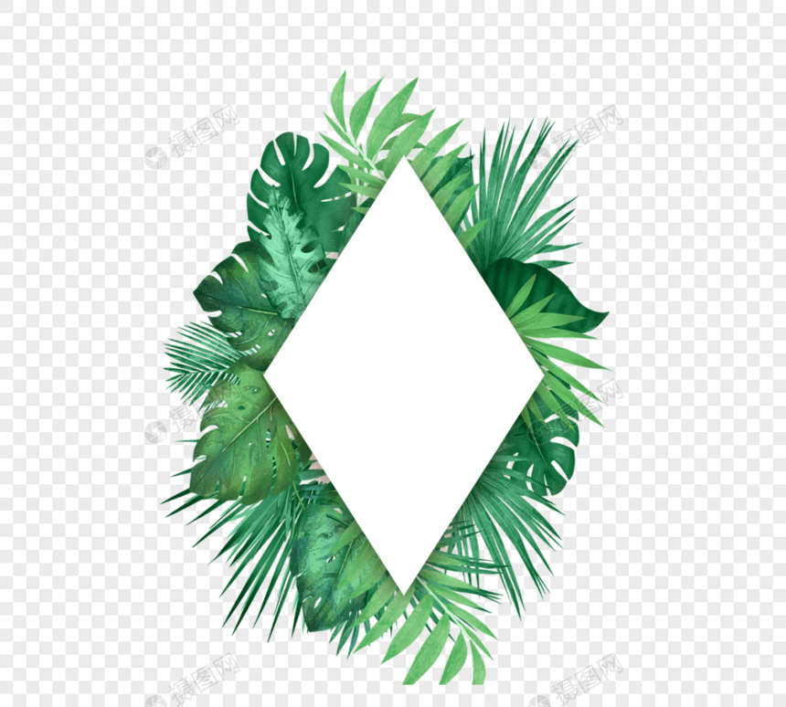 绿色小清新热带棕榈叶菱形边框图片