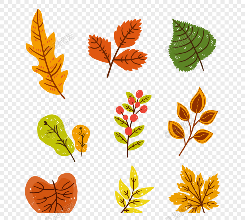 手绘秋季树叶落叶果实装饰画图片