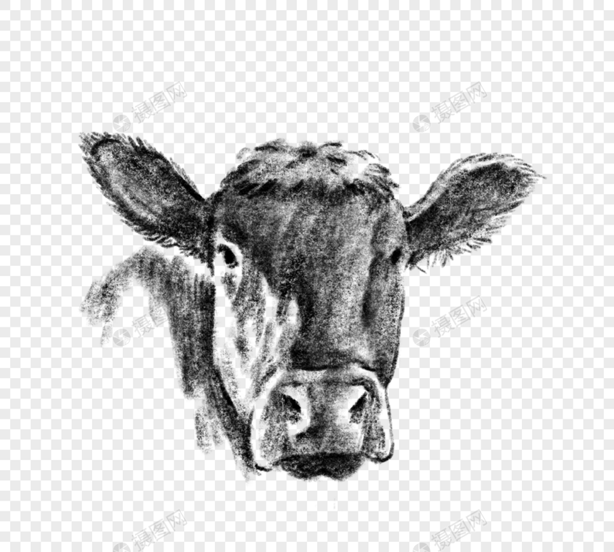 黑色手绘牛头线描图片