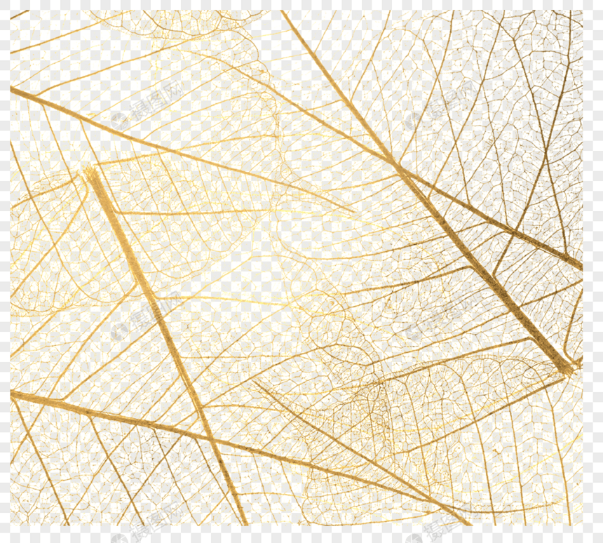 半透明金色叶子元素图片