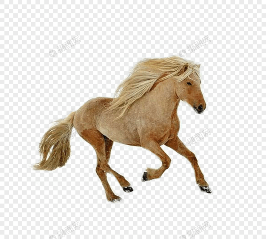 奔马和骑马手绘元素图片