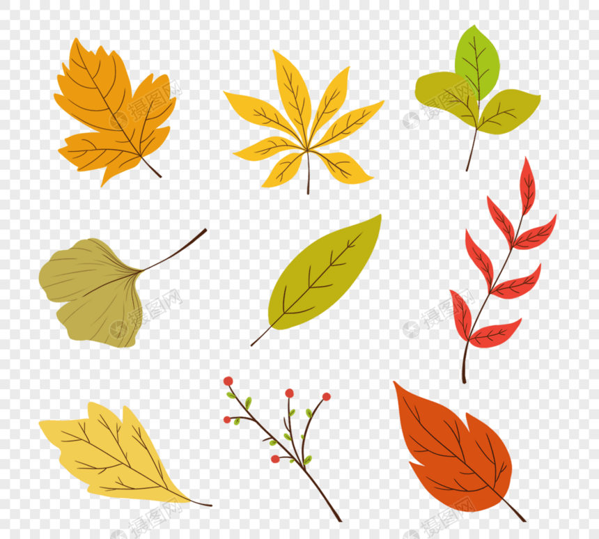 枫叶落叶元素设置秋天枫树图片