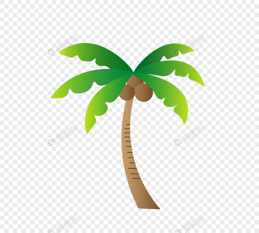 夏天海边绿色棕榈树图片
