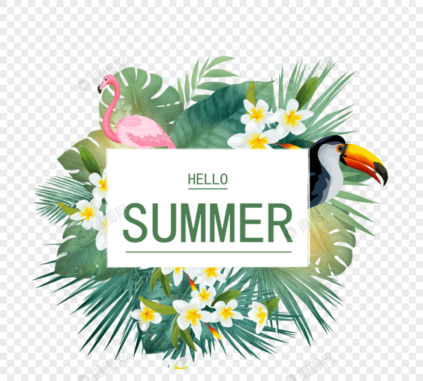 热带植物鹦鹉夏日促销边框图片