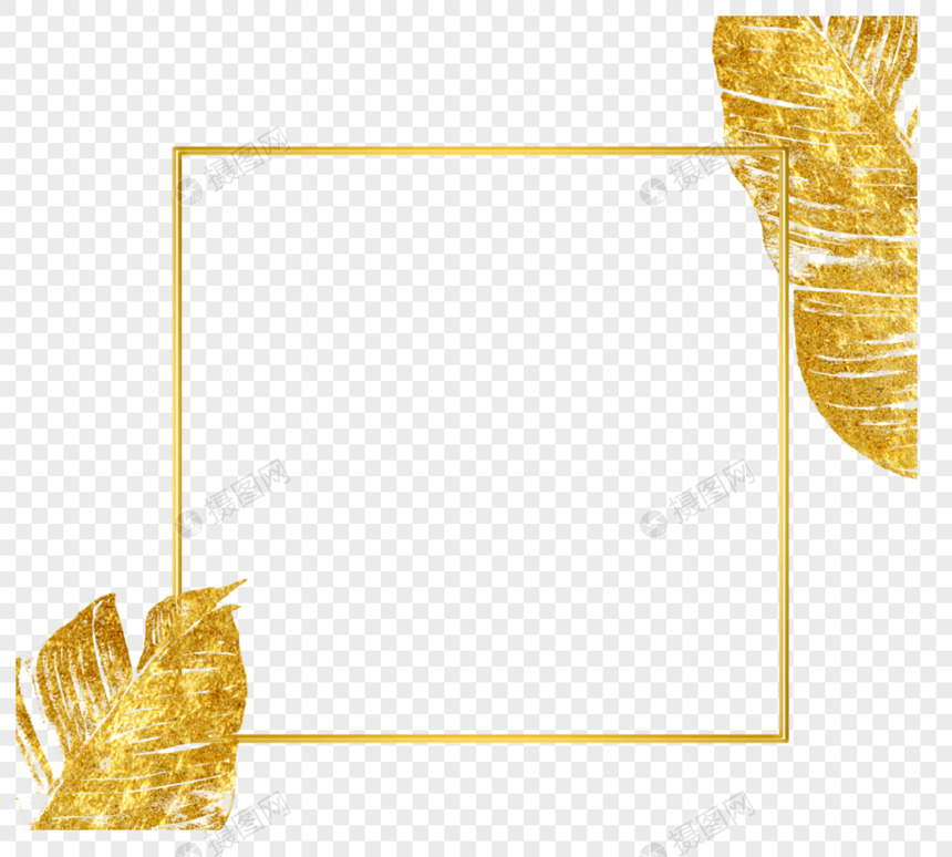 金色热带质感植物几何框架图片