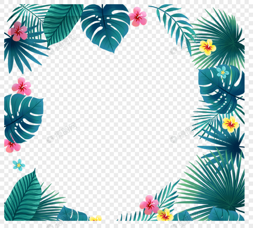 热带植物边框纹理图片
