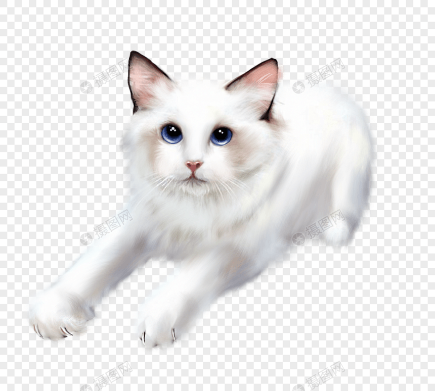 白猫手绘元素图片