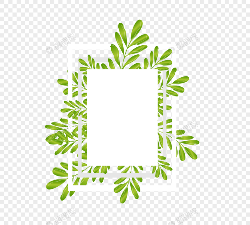 清新嫩绿色叶片几何自然框架矢量元素图片