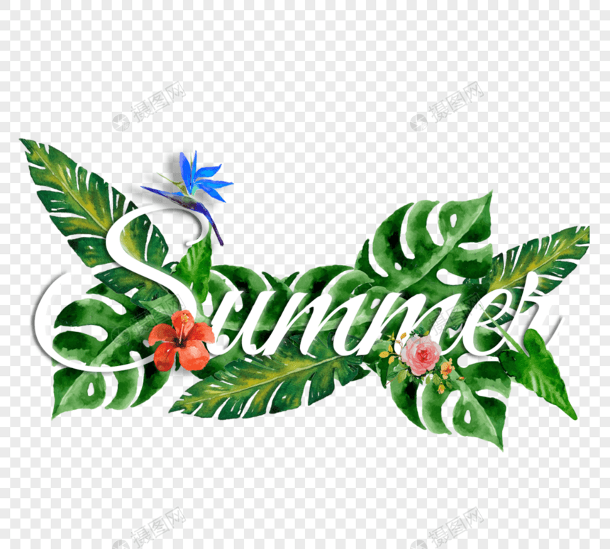 热带植物创意夏天字体图片
