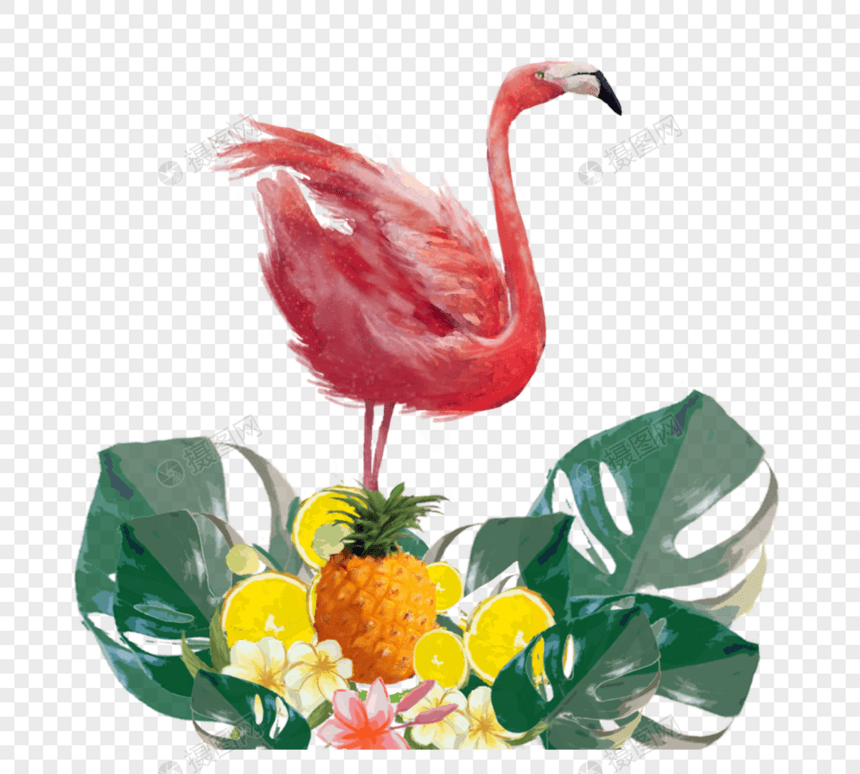 植物水果手绘火烈鸟元素图片