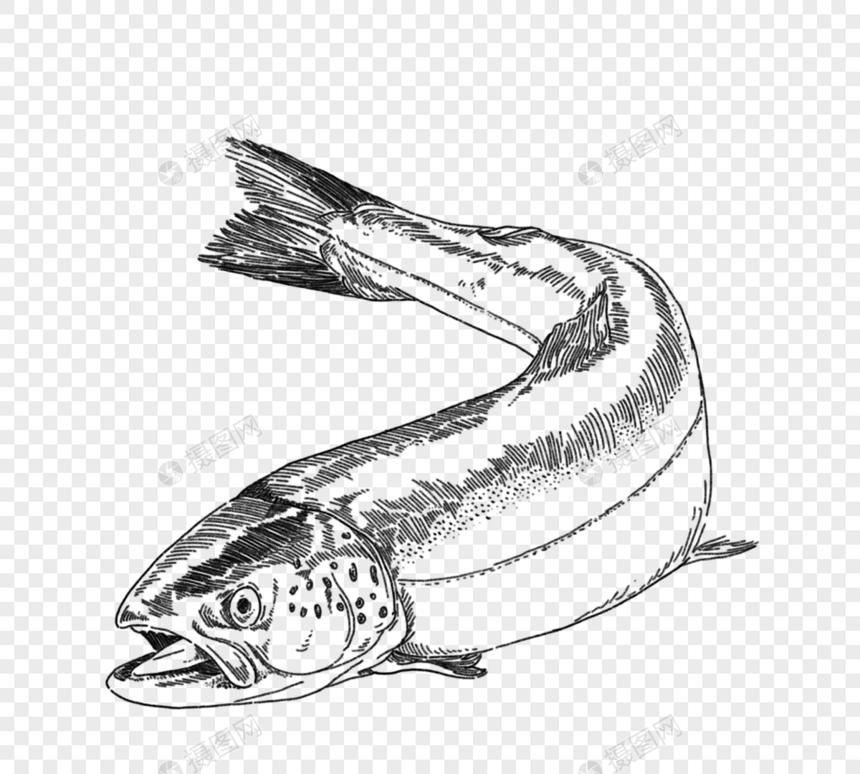 黑色手绘一条鱼张嘴巴图片