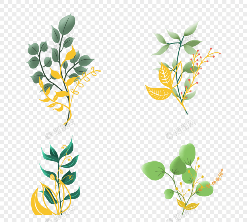手绘绿色金枝花卉图片