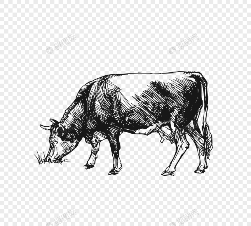 黑色手绘奶牛图片