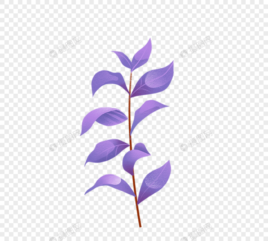 紫色树叶叶子手绘树叶图片