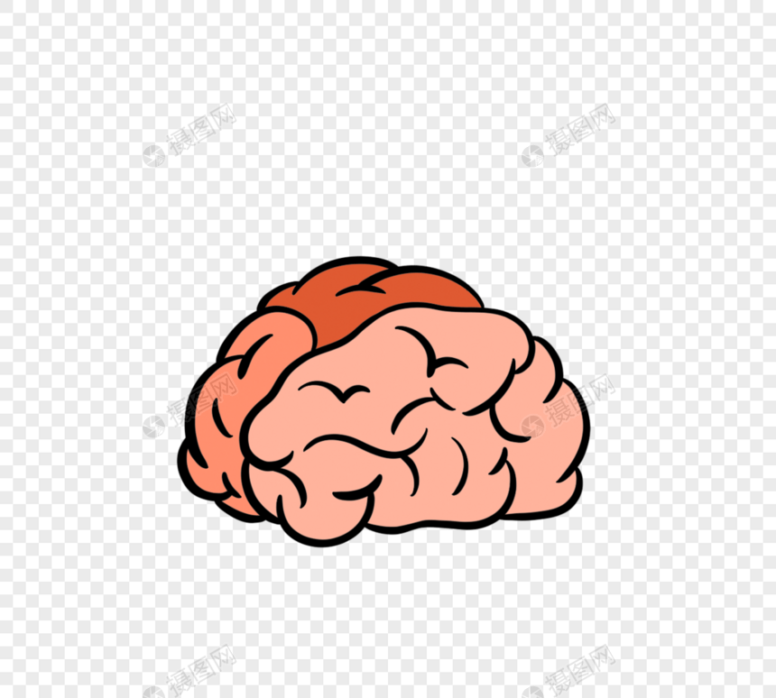 橙色大脑思考脑子图片