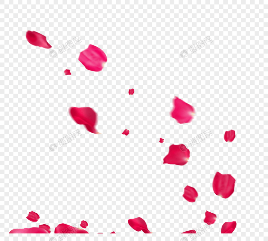红色玫瑰花瓣飘落图片