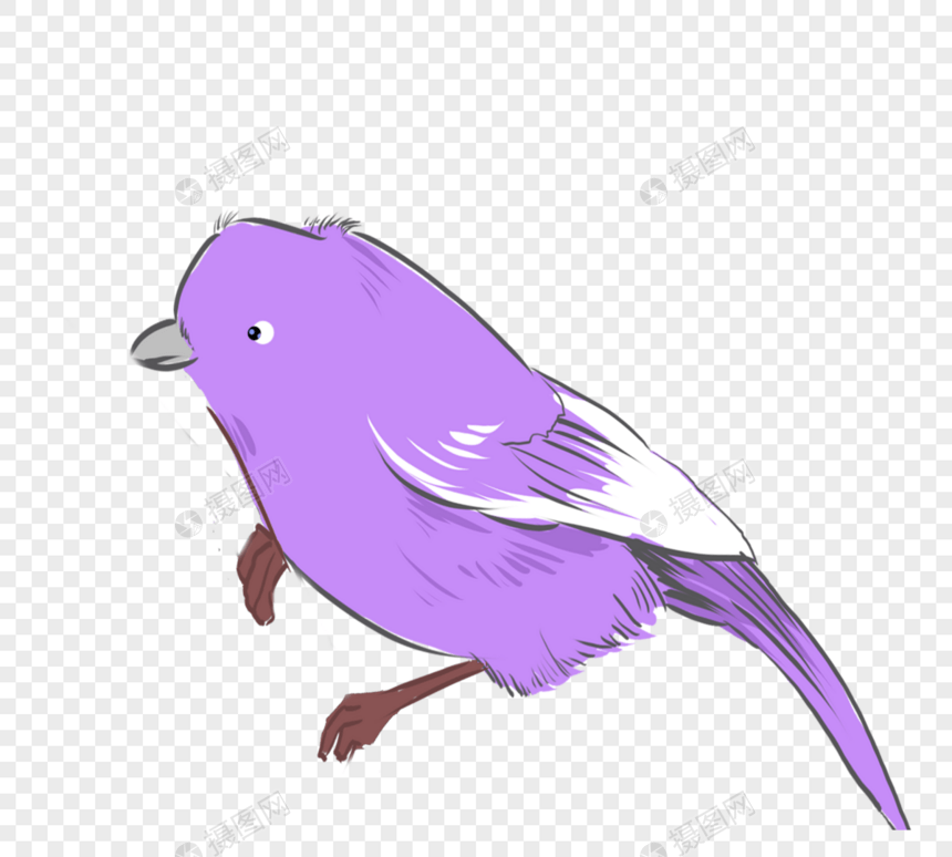 紫色卡通生动可爱手绘小鸟图片