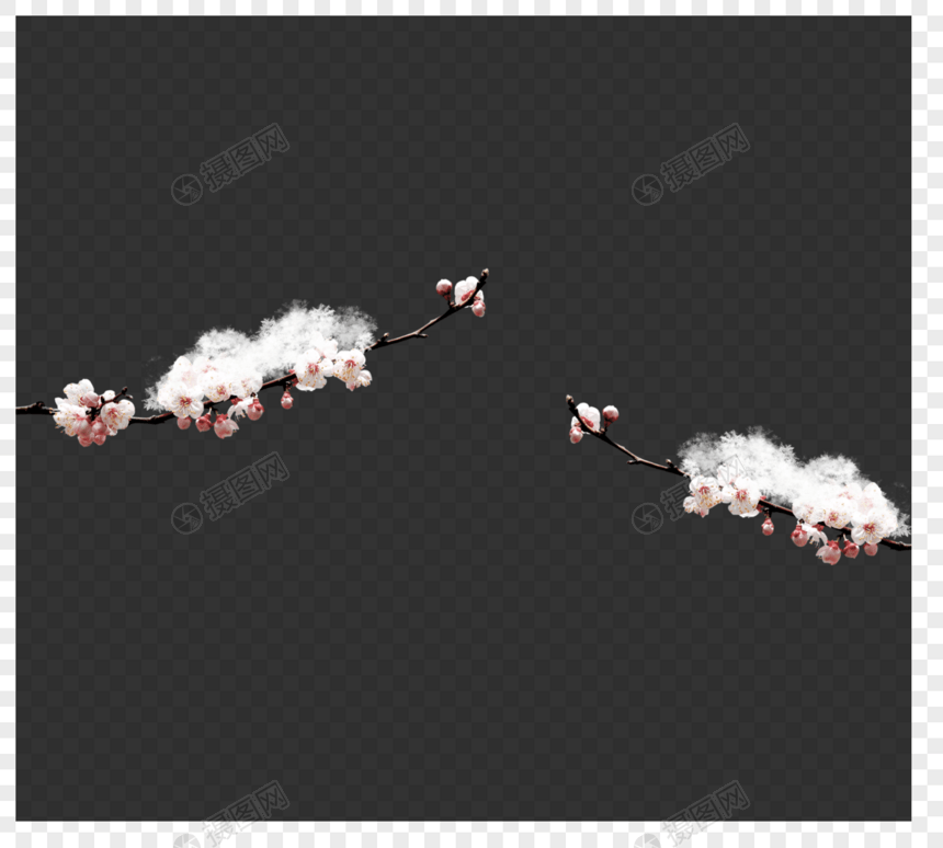 冬季梅花树枝元素图片
