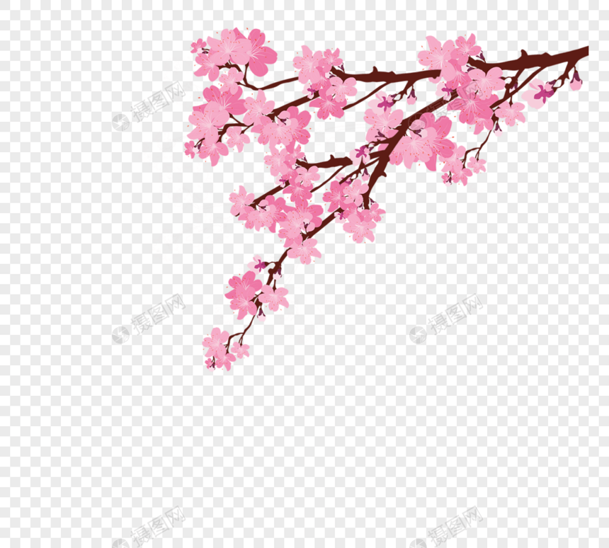 简洁粉色花朵树枝元素图片