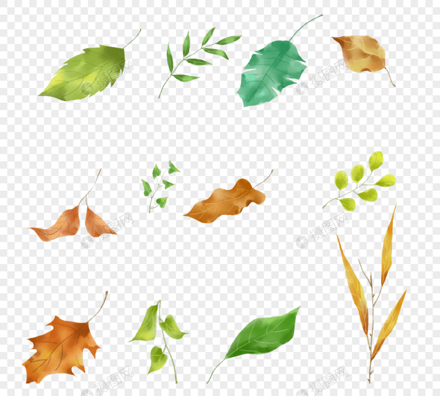 手绘自然树叶元素图片