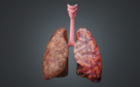 烟肺吸烟有害健康设计图片