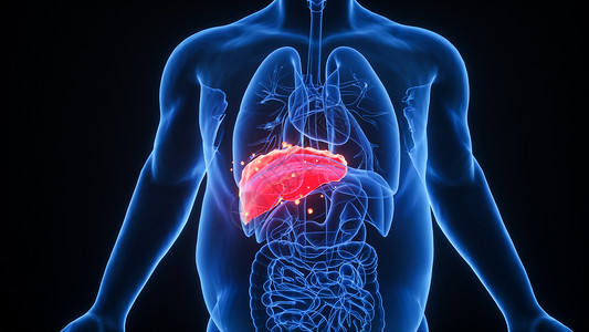 玛卡片C4D肝脏疾病设计图片