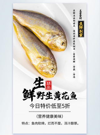 冷冻良材生鲜黄花鱼冷冻食材摄影海报模板