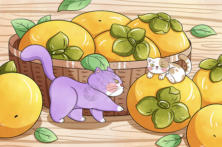 霜降猫咪与柿子插画背景图片