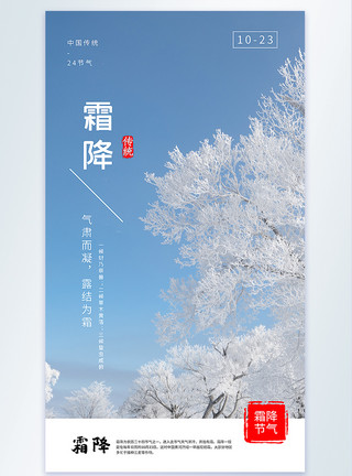 黑龙江雾凇霜降节气摄影图海报模板