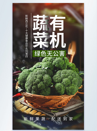 菜花表情图片西兰花绿色健康有机蔬菜摄影海报模板