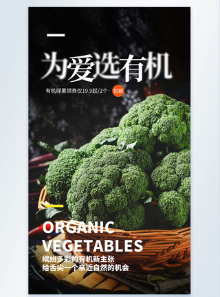 菜盘子里蔬菜有机花菜摄影图海报模板