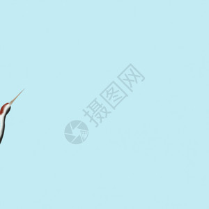 剪纸风白鹤飞翔飞翔的仙鹤GIF高清图片