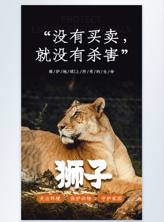 非洲草原狮子没有买卖， 就没有杀害摄影图海报模板