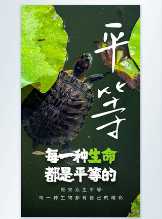 爬行的乌龟每一种生命都是平等的摄影图海报模板
