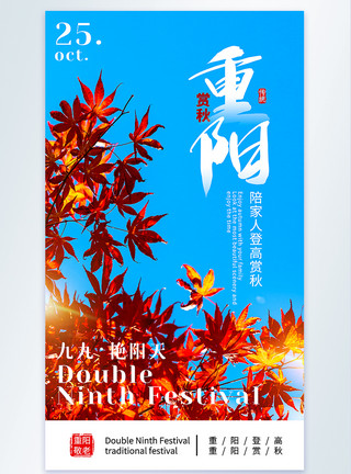 秋天自然景色重阳节赏秋摄影图海报模板