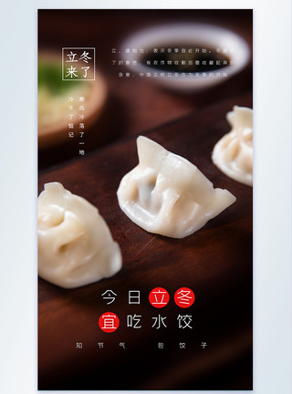 立冬节气吃饺子海报今日立冬宜吃水饺摄影图海报模板