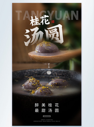 桂花汤圆美食摄影图海报模板