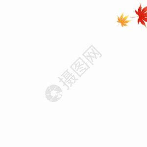 红色枫叶落叶GIF图片