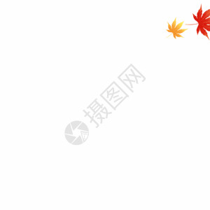 秋天的红色红色枫叶落叶GIF高清图片