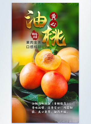 新鲜广东菜心黄心油桃新鲜水果摄影海报模板