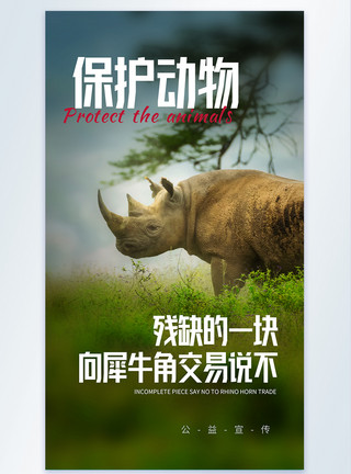 牛角保护动物犀牛摄影图海报模板