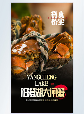 横行的螃蟹蟹逅美味阳澄湖大闸蟹摄影图海报模板