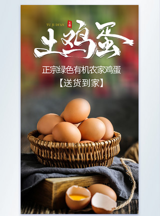 红心瓜农家土鸡蛋食材摄影海报模板
