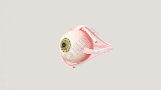 3D眼睛素材C4D眼球场景设计图片