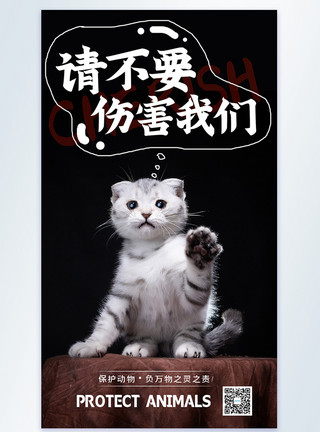 动物霓虹灯猫保护动物公益摄影图海报设计模板