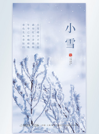 白色摄影素材小雪节气摄影图海报模板
